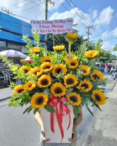 Hoa Chúc Mừng Đại Hội - Bình Minh 06 - belovedbeyond.com