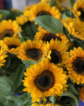 Hoa Chúc Mừng Tốt Nghiệp - Khởi Đầu 03 - belovedbeyond.com