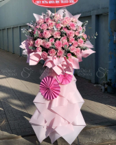 Lẵng Hoa Chúc Mừng - Hồng Xí Muội 161 - belovedbeyond.com