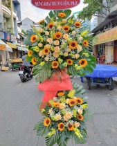 Hoa Chúc Mừng Đại Hội - Vươn Xa 1 - belovedbeyond.com