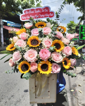 Hoa Chúc Mừng Khai Trương - Congratulation 1 - belovedbeyond.com