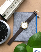 Skagen Theodor 858Xlgld - belovedbeyond.com