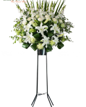 G002604 - belovedbeyond.com