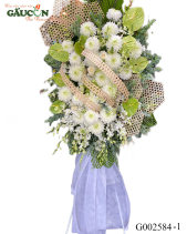 G002584 - belovedbeyond.com