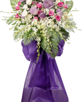 G002578 - belovedbeyond.com