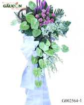 G002564 - belovedbeyond.com