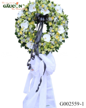 G002559 - belovedbeyond.com