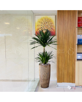 Phát Tài Núi Chậu Vàng Đồng 35X70 - belovedbeyond.com