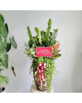 Kim Tiền Mix Cây Nhỏ - belovedbeyond.com