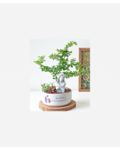 Peace Garden - belovedbeyond.com