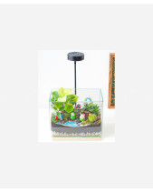 Rainbow Garden - belovedbeyond.com