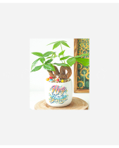 Cây Để Bàn Trạng Nguyên - belovedbeyond.com