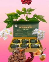 Sâm Ngọc Linh Ươi Bay - belovedbeyond.com