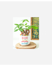 Happy Women's Day 5 - belovedbeyond.com