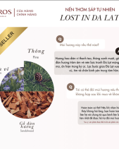 Lost In Da Lat - Best Seller - belovedbeyond.com