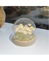 Đèn Hoa Tulip Tròn Handmade, Đèn Hoa Tuylip - belovedbeyond.com