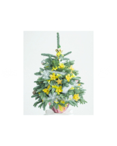 Thông Tươi Noel 70Cm 02 - belovedbeyond.com