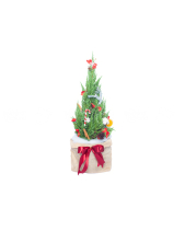 Cây Thông 80Cm Mẫu 1 - belovedbeyond.com