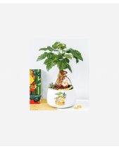 Hạnh Phúc Tài Lộc - belovedbeyond.com