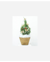 Cây Thông 40Cm Mẫu 3 - belovedbeyond.com