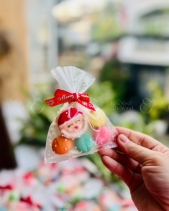 Set Bánh Macaron Mini - belovedbeyond.com