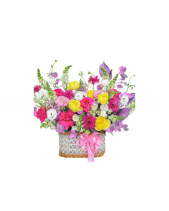 Đa Sắc - belovedbeyond.com