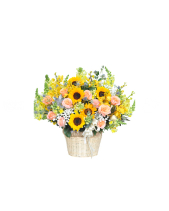 Hương Gió Mới - belovedbeyond.com