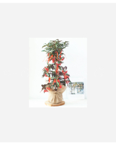 Kim Ngân Lượng Tài Lộc 2 - belovedbeyond.com