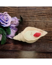 製品紹介ビデオNến Thơm Vỏ Ốc Ecolife