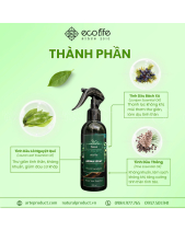 Xịt Thơm Phòng Ecolife – Hương Thơm Forest - belovedbeyond.com