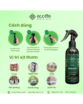 Xịt Thơm Phòng Ecolife – Hương Thơm Forest - belovedbeyond.com