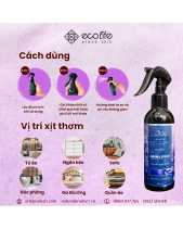 Xịt Thơm Phòng Ecolife – Hương Thơm Lavender - belovedbeyond.com