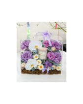 Rực Rỡ - belovedbeyond.com