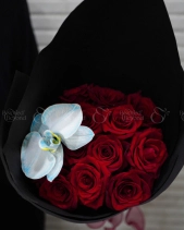 Red Roses Orchid Blue - belovedbeyond.com