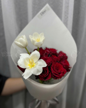 Roses Tulip Giấy Trắng - belovedbeyond.com