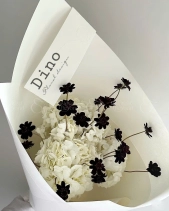 Bó Tú Cầu Cosmos - belovedbeyond.com