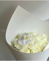 Ecuador White - belovedbeyond.com