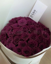 Violet Roses - belovedbeyond.com