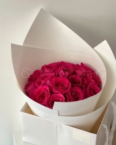 Pink Floy Giấy Trắng - belovedbeyond.com