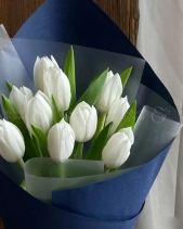 Tulip Trắng Giấy Xanh - belovedbeyond.com