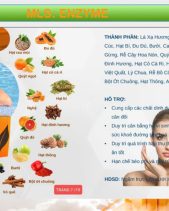 Kẹo Ngậm Tế Bào Gốc Mls – Phục Hồi Tiêu Hóa Aplgo - belovedbeyond.com