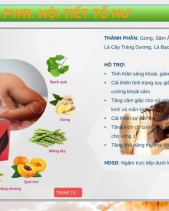 Kẹo Ngậm Tế Bào Gốc Pwr – Nội Tiết Nữ Aplgo - belovedbeyond.com