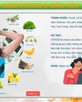 Kẹo Ngậm Tế Bào Gốc Rlx -Giảm Stress Giúp Ngủ Ngon - belovedbeyond.com