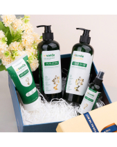 Combo Chăm Sóc Tóc Yếu Gãy Rụng Gxtx - belovedbeyond.com