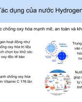 Bình Tạo Nước Hydrogen Cầm Tay - belovedbeyond.com