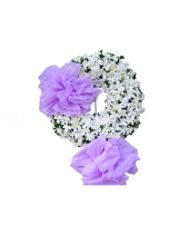 Hạ Trắng - belovedbeyond.com