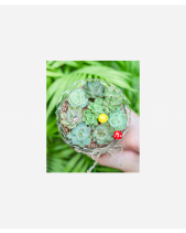 Happy Day 15 - belovedbeyond.com