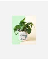 Thử Thách - belovedbeyond.com