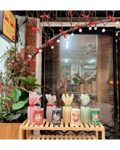 Set Qùa Cacao Nguyên Chất 200G - belovedbeyond.com