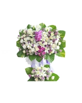 Hồi Ức Xưa - belovedbeyond.com